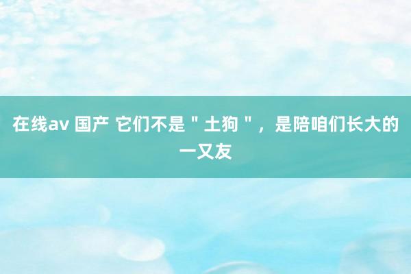 在线av 国产 它们不是＂土狗＂，是陪咱们长大的一又友