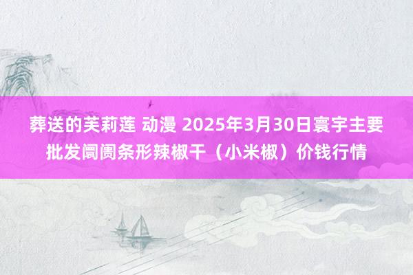 葬送的芙莉莲 动漫 2025年3月30日寰宇主要批发阛阓条形辣椒干（小米椒）价钱行情