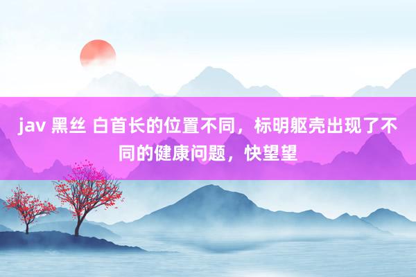 jav 黑丝 白首长的位置不同，标明躯壳出现了不同的健康问题，快望望