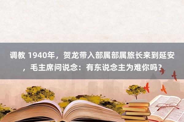 调教 1940年，贺龙带入部属部属旅长来到延安，毛主席问说念：有东说念主为难你吗？