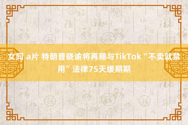 女同 a片 特朗普晓谕将再赐与TikTok“不卖就禁用”法律75天缓期期