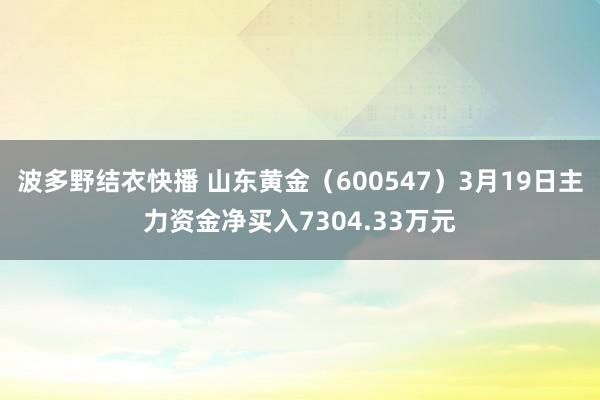 波多野结衣快播 山东黄金（600547）3月19日主力资金净买入7304.33万元