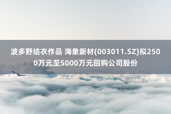 波多野结衣作品 海象新材(003011.SZ)拟2500万元至5000万元回购公司股份
