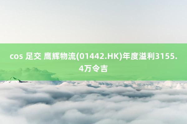 cos 足交 鹰辉物流(01442.HK)年度溢利3155.4万令吉