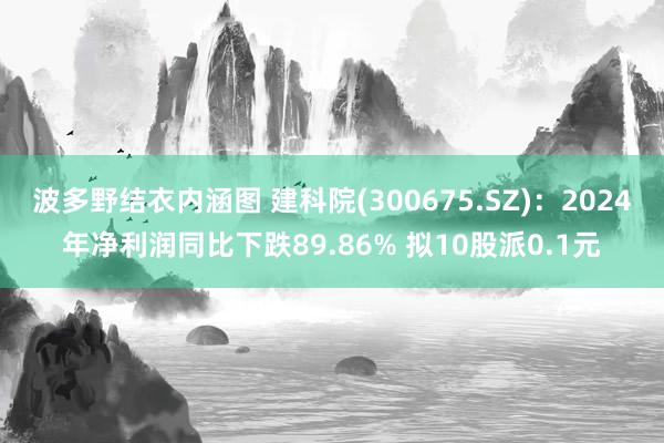 波多野结衣内涵图 建科院(300675.SZ)：2024年净利润同比下跌89.86% 拟10股派0.1元