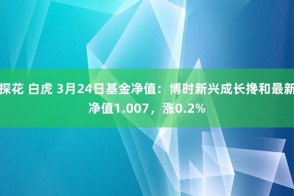 探花 白虎 3月24日基金净值：博时新兴成长搀和最新净值1.007，涨0.2%