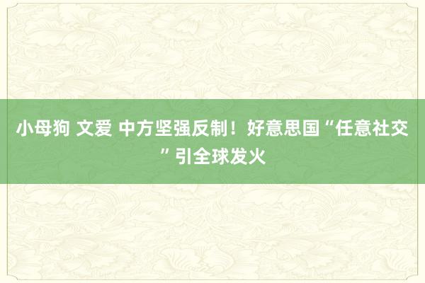 小母狗 文爱 中方坚强反制！好意思国“任意社交”引全球发火