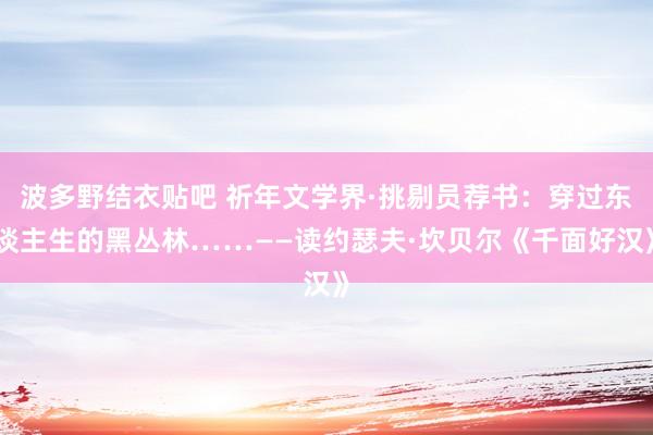 波多野结衣贴吧 祈年文学界·挑剔员荐书：穿过东谈主生的黑丛林……——读约瑟夫·坎贝尔《千面好汉》