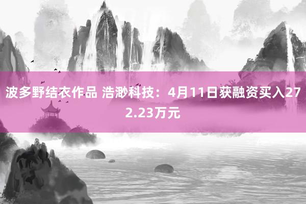 波多野结衣作品 浩渺科技：4月11日获融资买入272.23万元