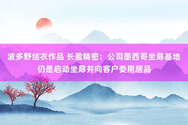 波多野结衣作品 长盈精密：公司墨西哥坐蓐基地仍是启动坐蓐并向客户委用居品