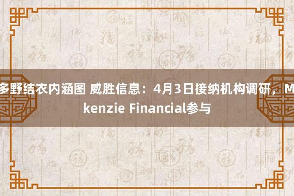 波多野结衣内涵图 威胜信息：4月3日接纳机构调研，Mackenzie Financial参与