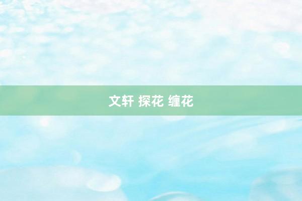 文轩 探花 缠花