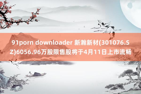 91porn downloader 新瀚新材(301076.SZ)6056.96万股限售股将于4月11日上市流畅