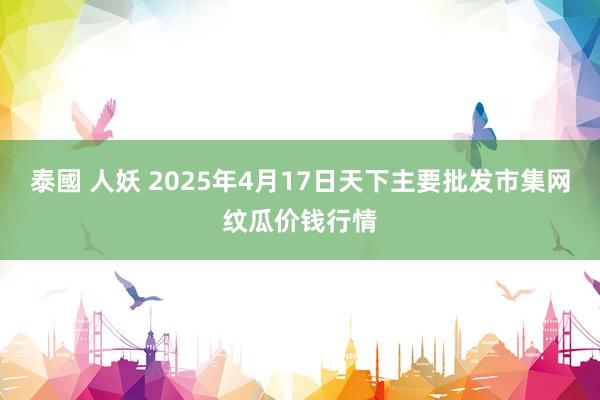 泰國 人妖 2025年4月17日天下主要批发市集网纹瓜价钱行情