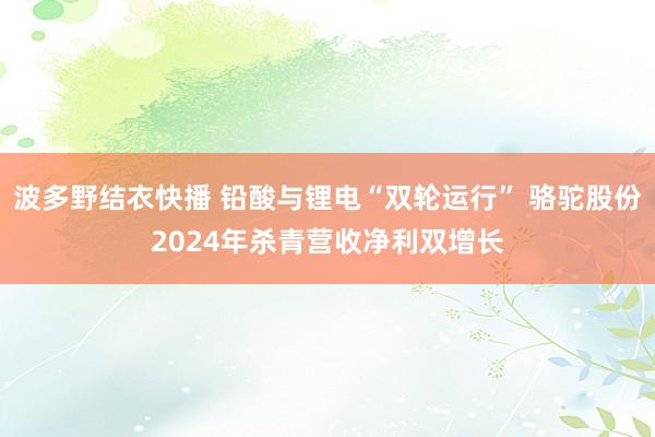 波多野结衣快播 铅酸与锂电“双轮运行” 骆驼股份2024年杀青营收净利双增长
