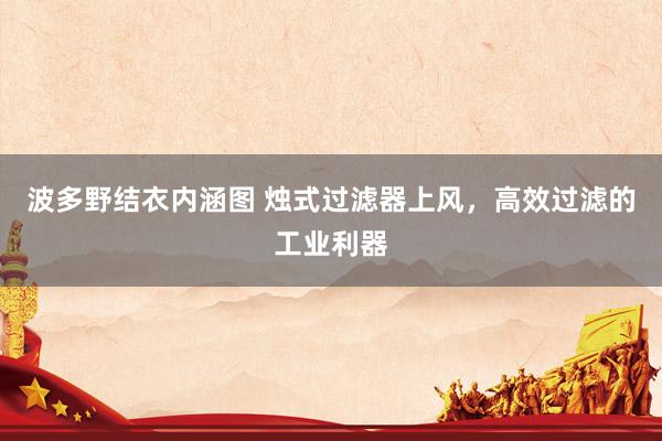 波多野结衣内涵图 烛式过滤器上风，高效过滤的工业利器