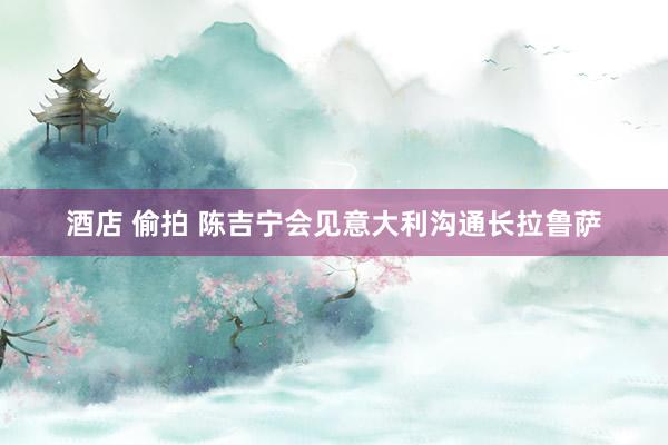 酒店 偷拍 陈吉宁会见意大利沟通长拉鲁萨