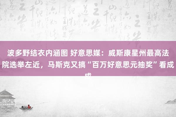 波多野结衣内涵图 好意思媒：威斯康星州最高法院选举左近，马斯克又搞“百万好意思元抽奖”看成